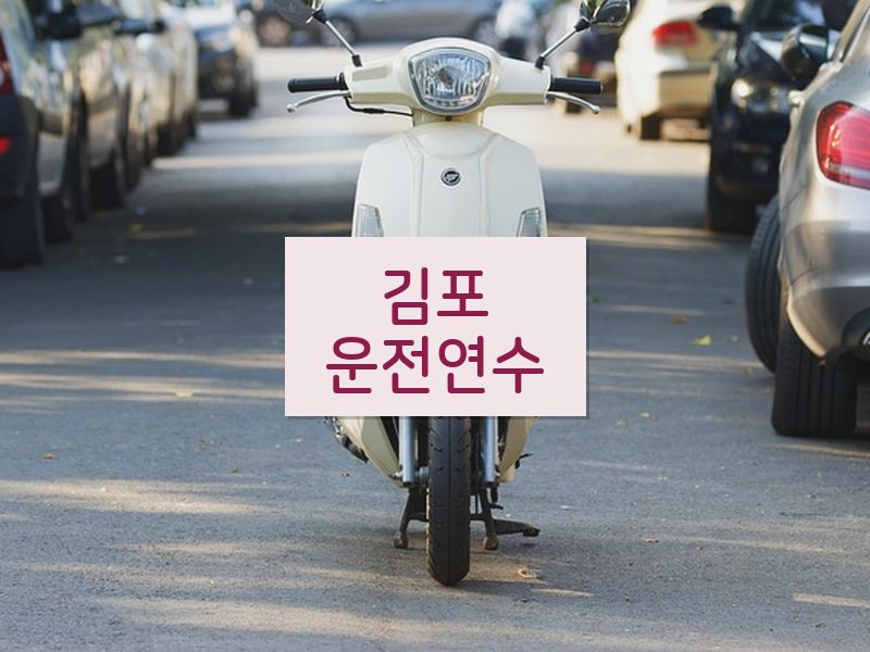 김포운전연수 후기