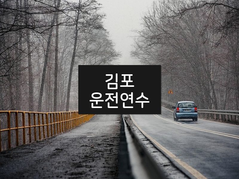 김포운전연수 후기