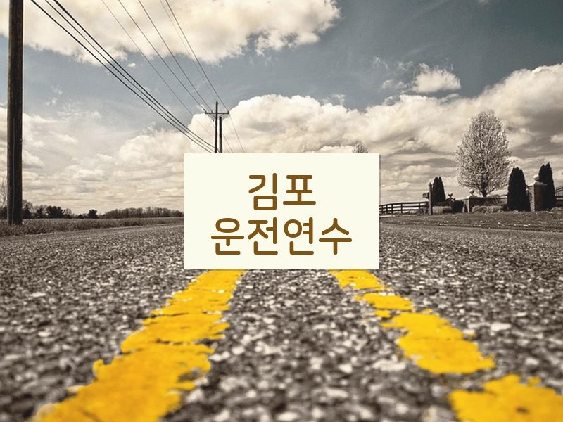 김포운전연수 후기