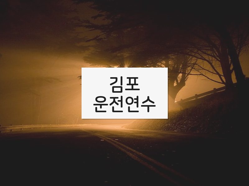 김포운전연수 후기