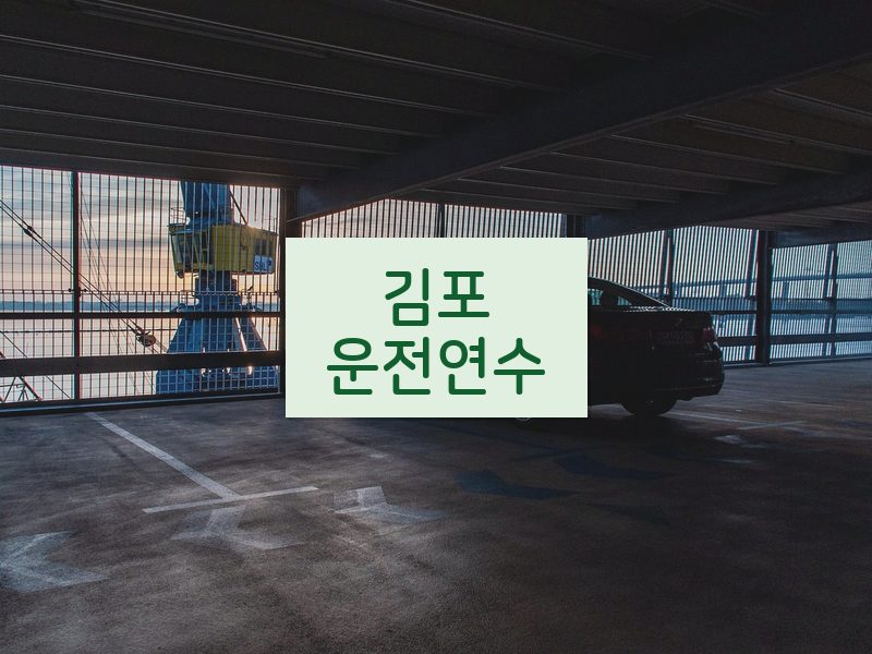 김포운전연수 후기