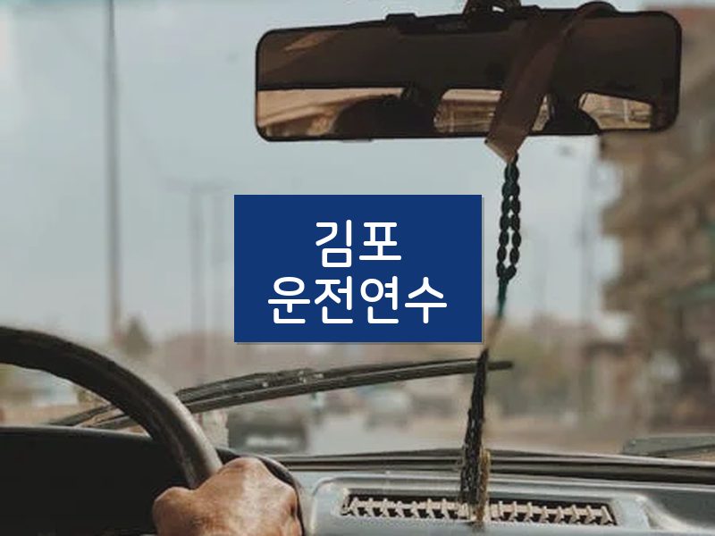 김포운전연수 후기