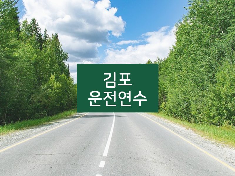 김포운전연수 후기