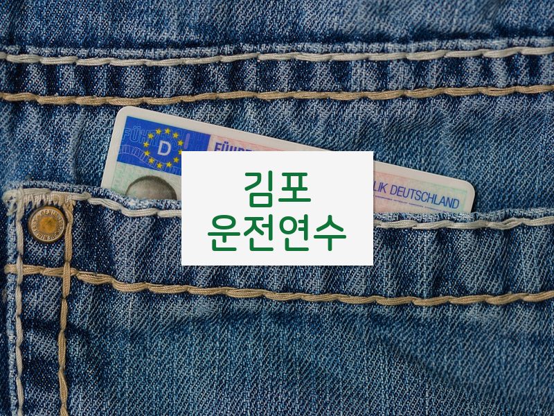 김포운전연수 후기