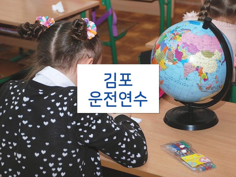 김포운전연수 후기