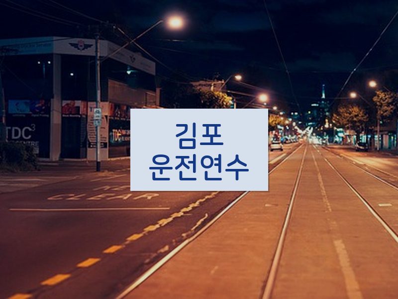 김포운전연수 후기
