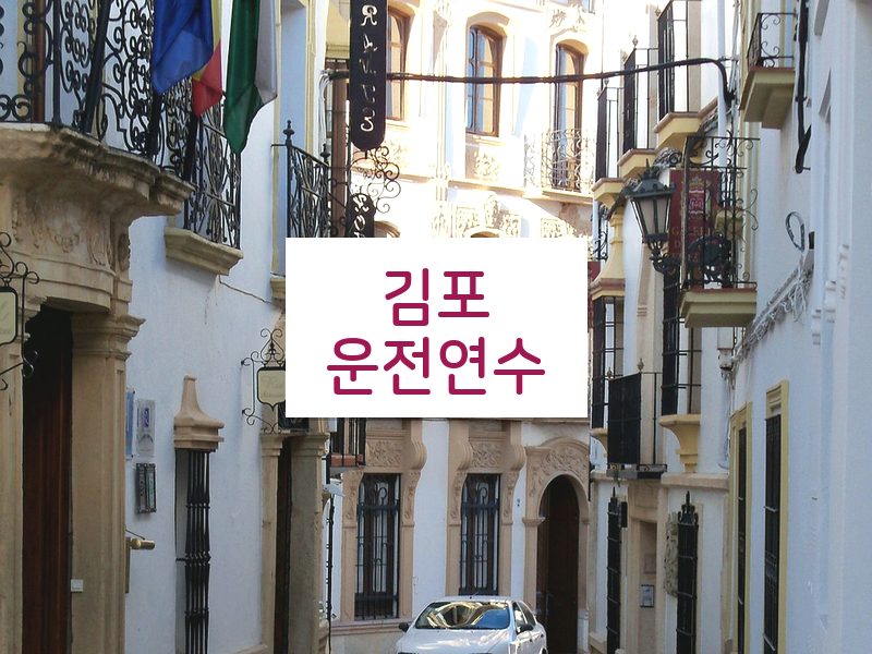 김포운전연수 후기