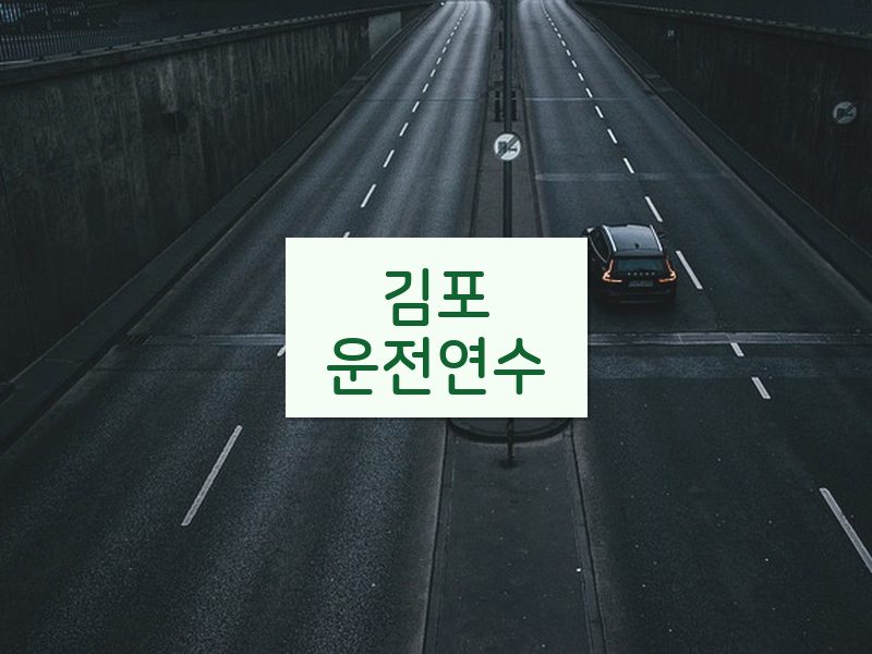 김포운전연수 후기