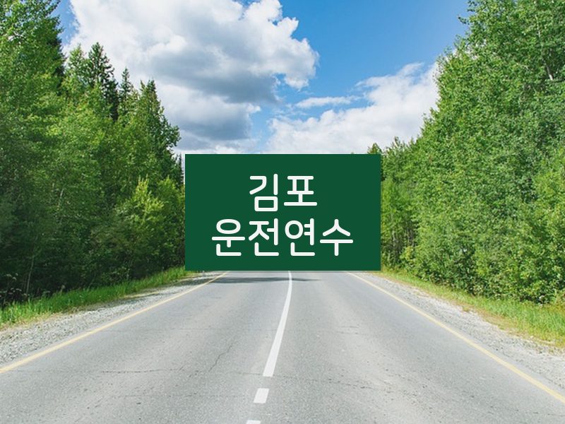 김포운전연수 후기