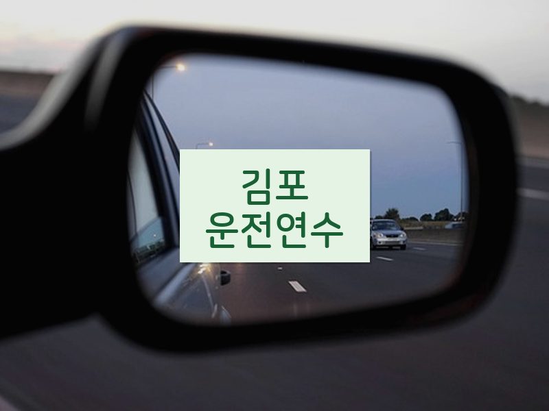 김포운전연수 후기