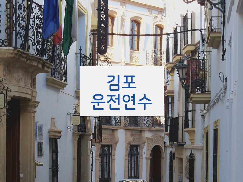 김포운전연수 후기