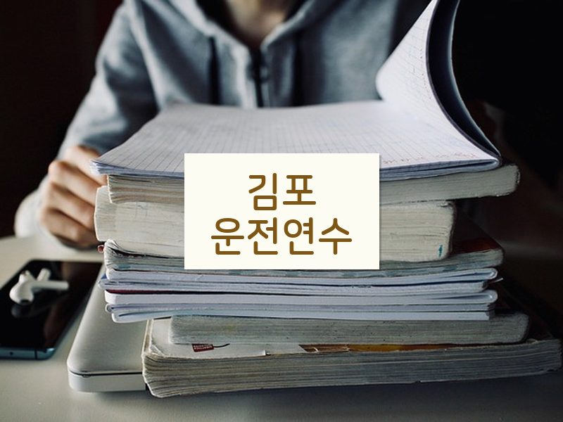 김포운전연수 후기