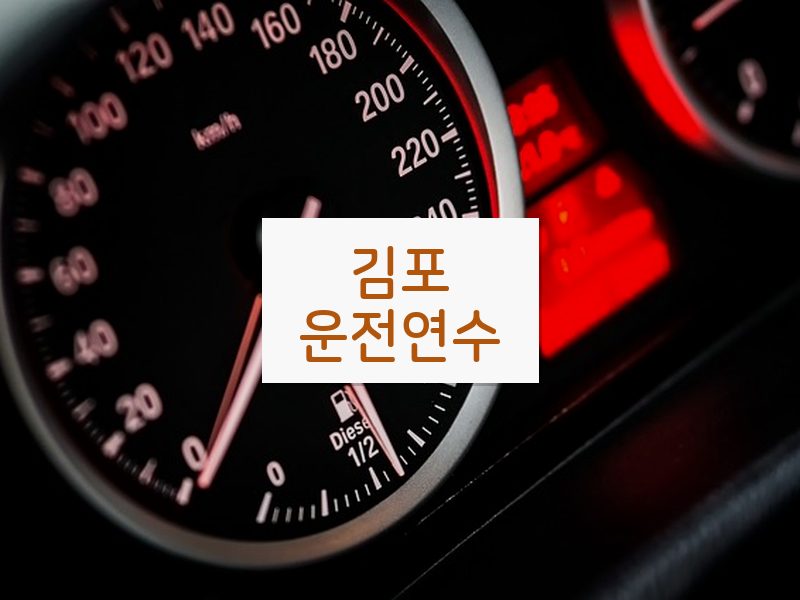 김포운전연수 후기