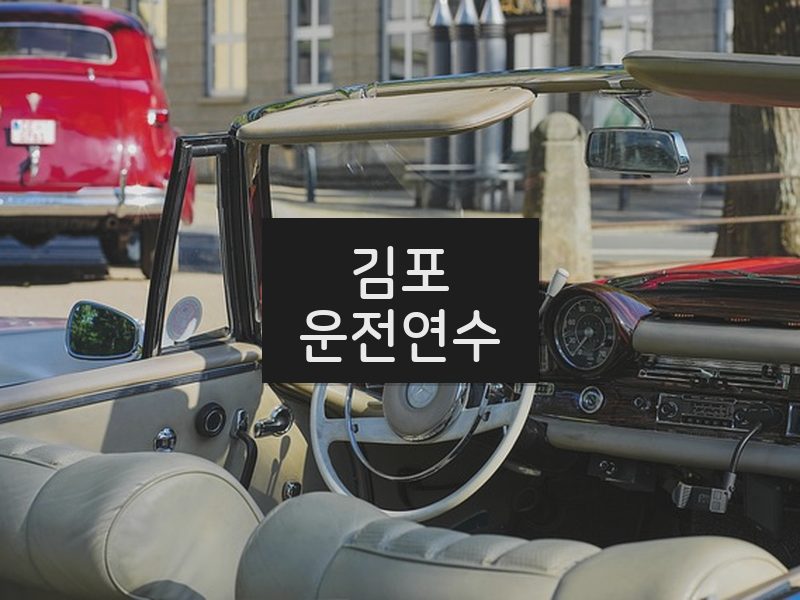 김포운전연수 후기