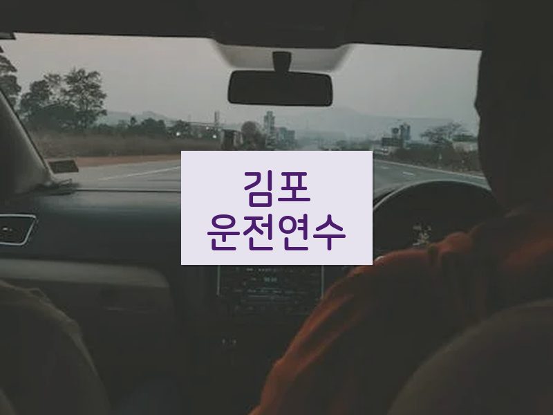 김포운전연수 후기