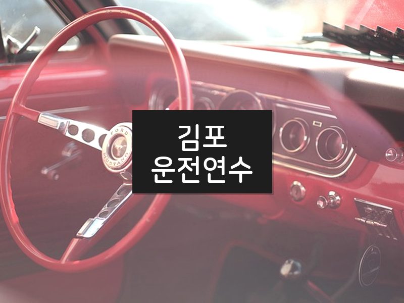김포운전연수 후기
