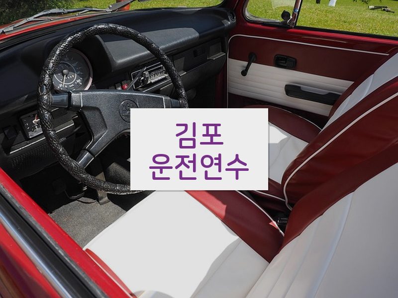 김포운전연수 후기