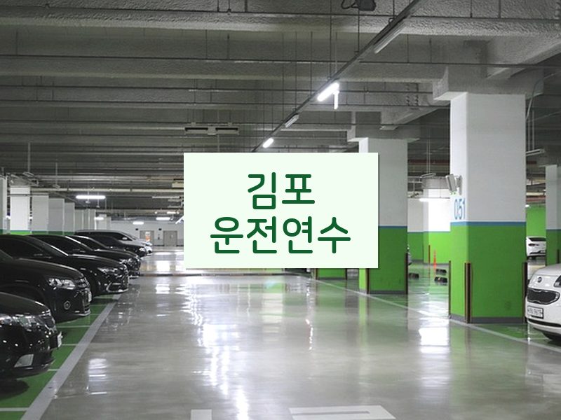 김포운전연수 후기