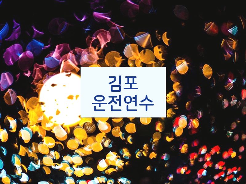 김포운전연수 후기