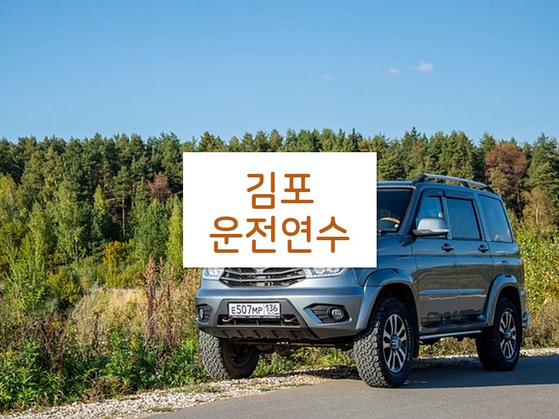 김포운전연수 후기