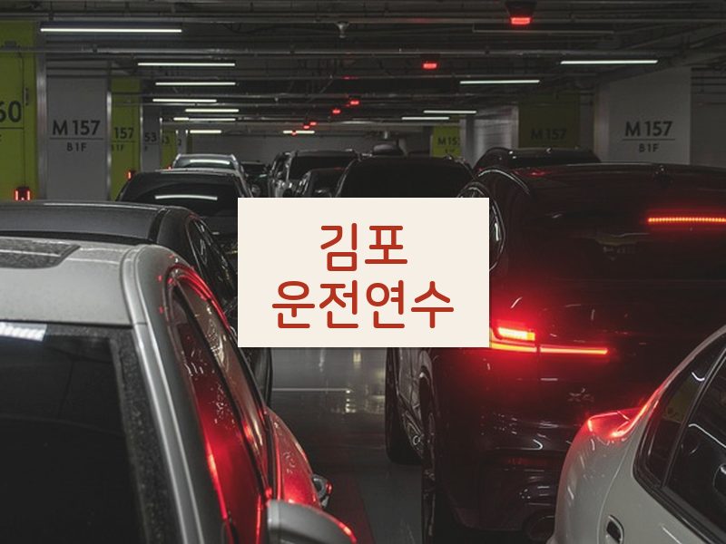 김포운전연수 후기
