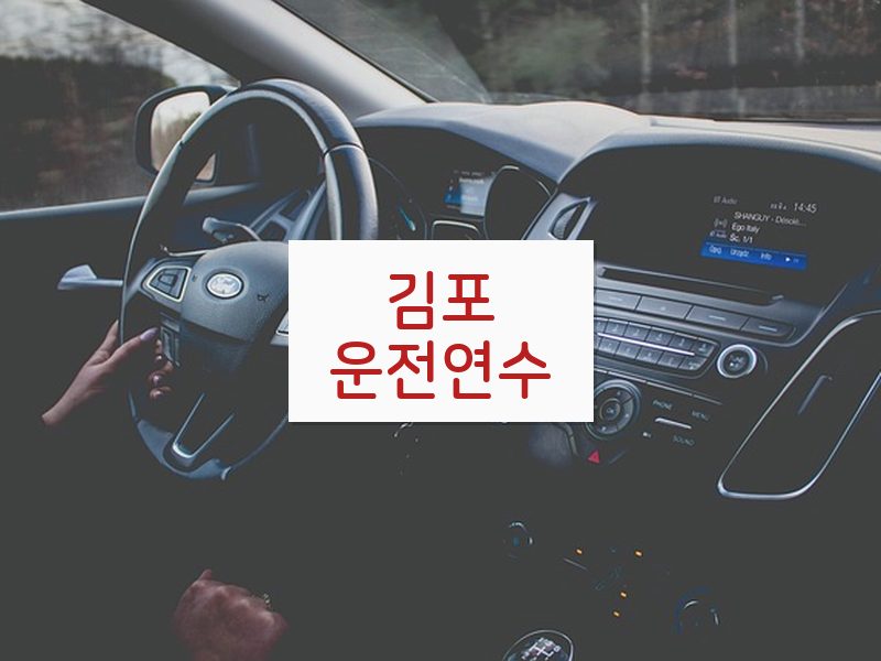 김포운전연수 후기