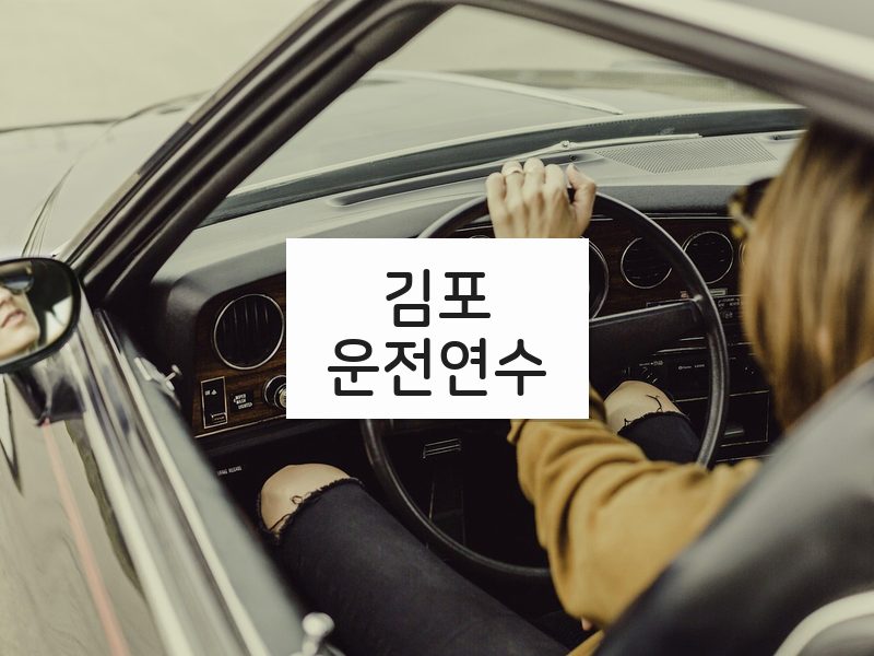 김포운전연수 후기