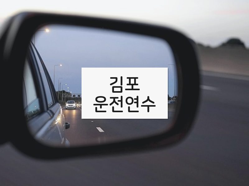김포운전연수 후기