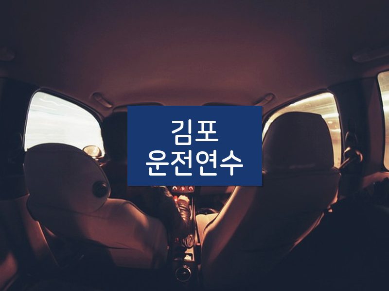 김포운전연수 후기