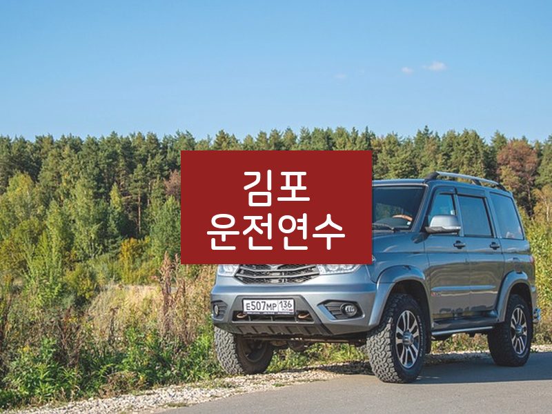 김포운전연수 후기