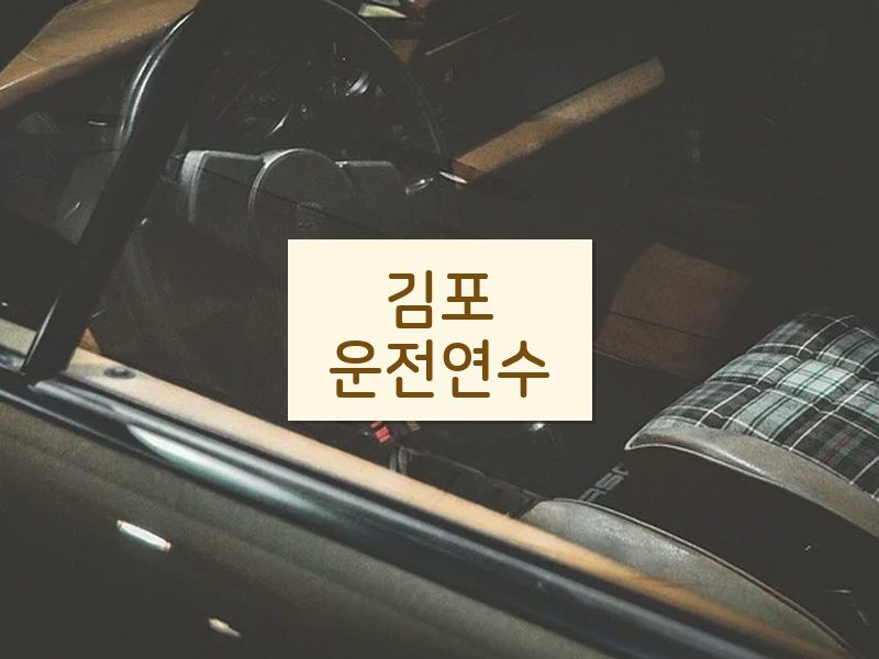 김포운전연수 후기