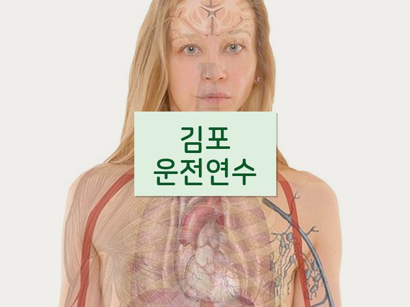 김포운전연수 후기
