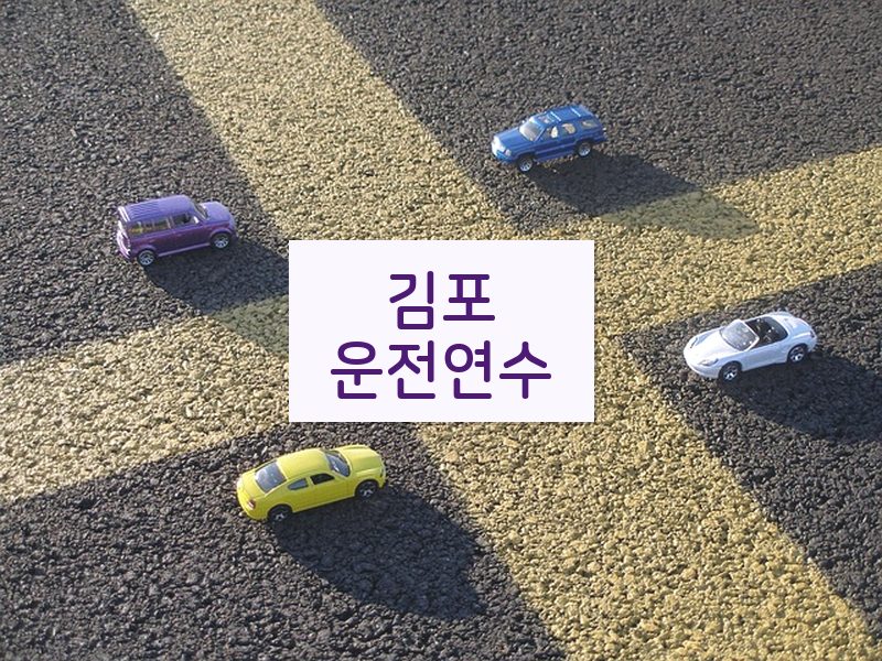 김포운전연수 후기