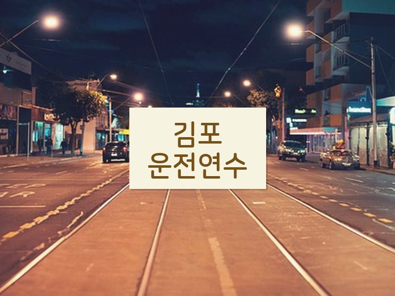 김포운전연수 후기