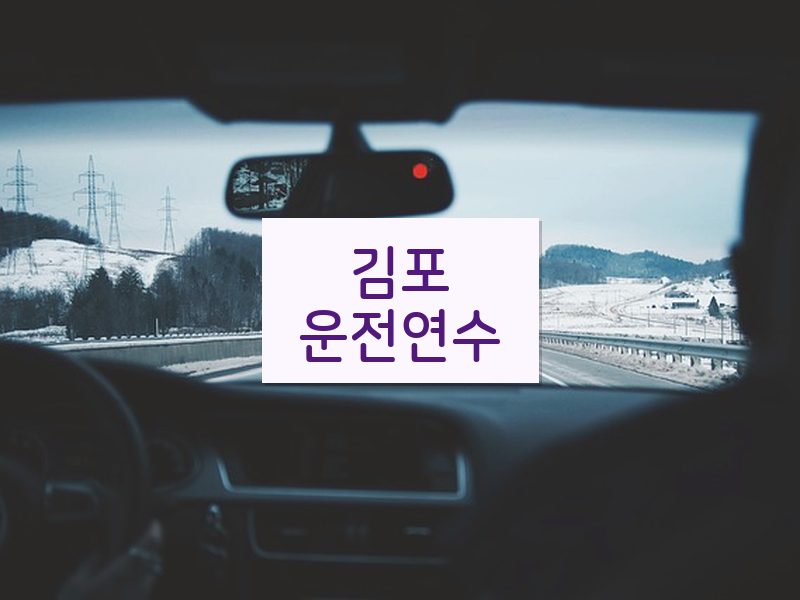 김포운전연수 후기