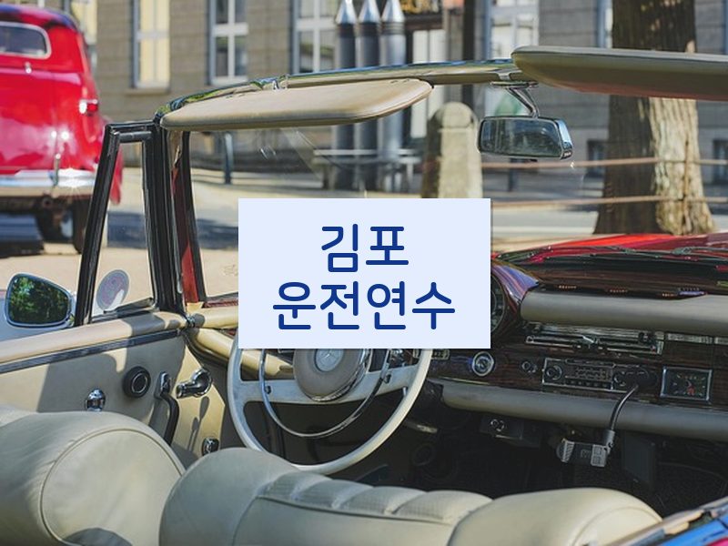 김포운전연수 후기