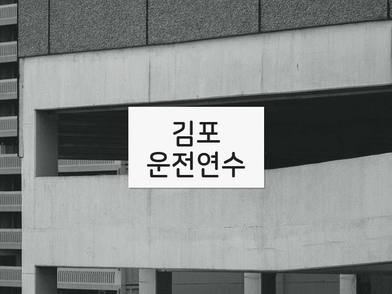 김포운전연수 후기