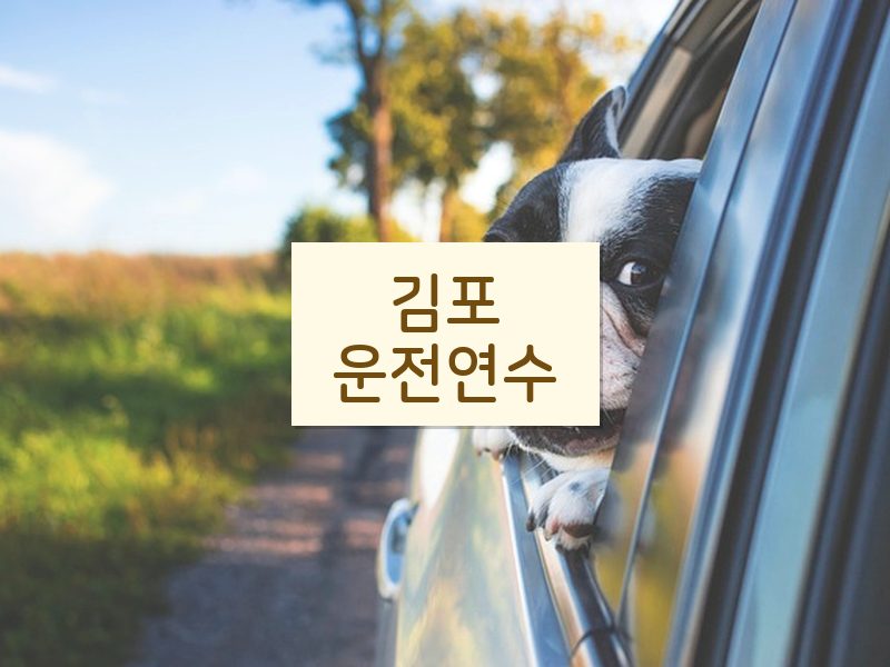 김포운전연수 후기