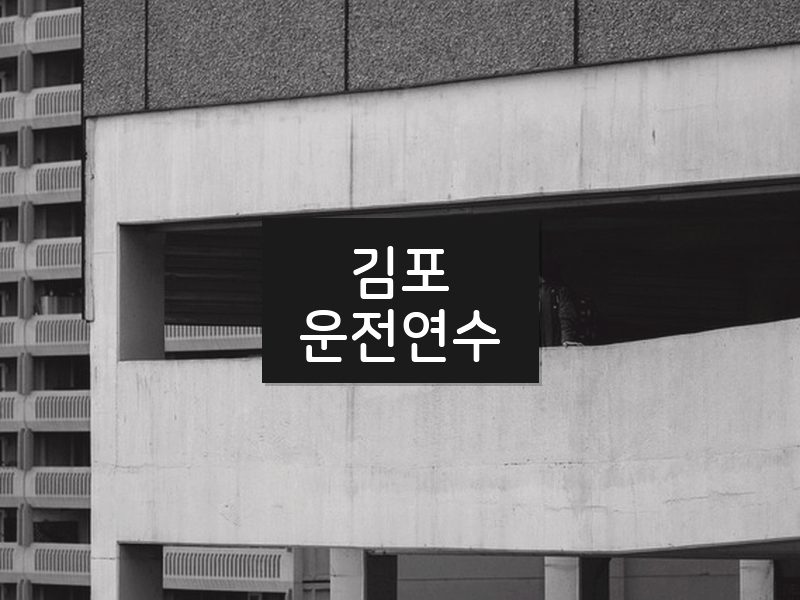 김포운전연수 후기