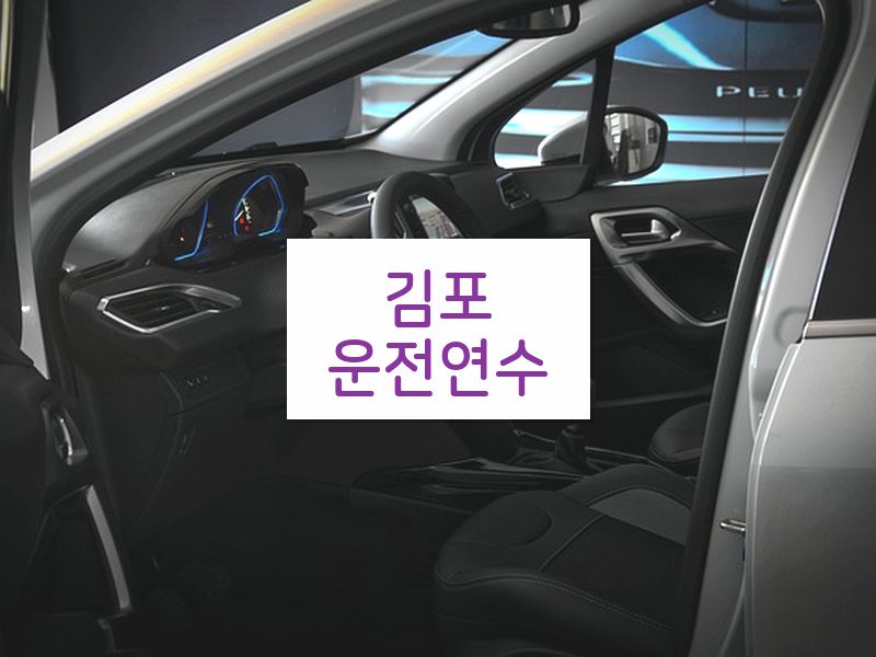 김포운전연수 후기