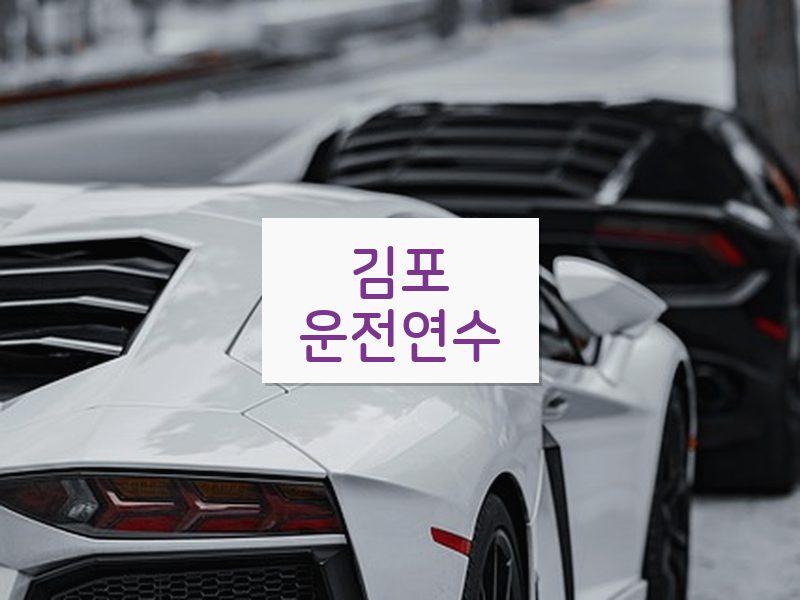 김포운전연수 후기