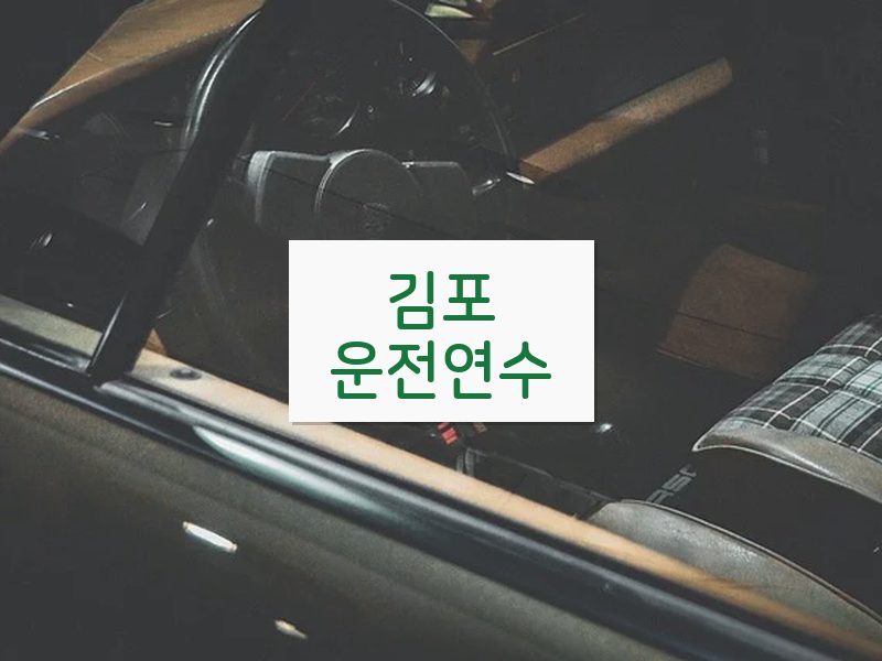 김포운전연수 후기