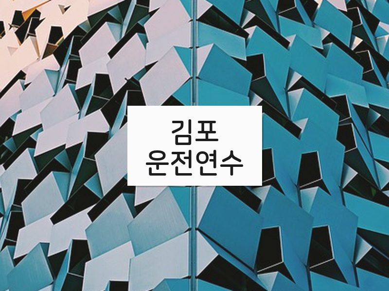 김포운전연수 후기