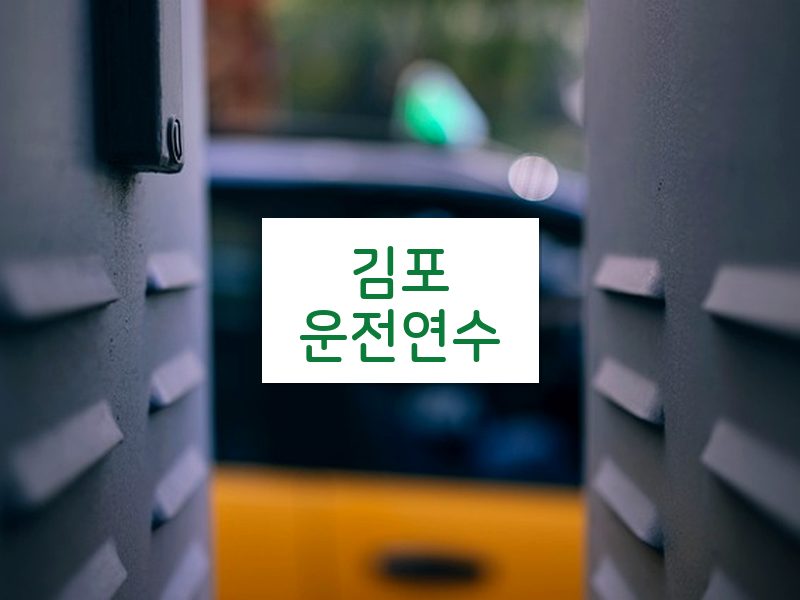 김포운전연수 후기