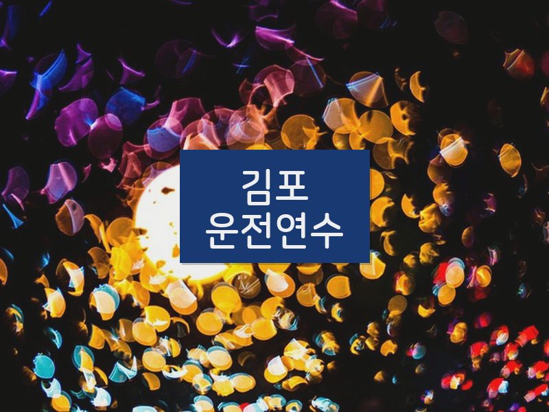 김포운전연수 후기