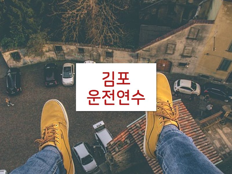 김포운전연수 후기