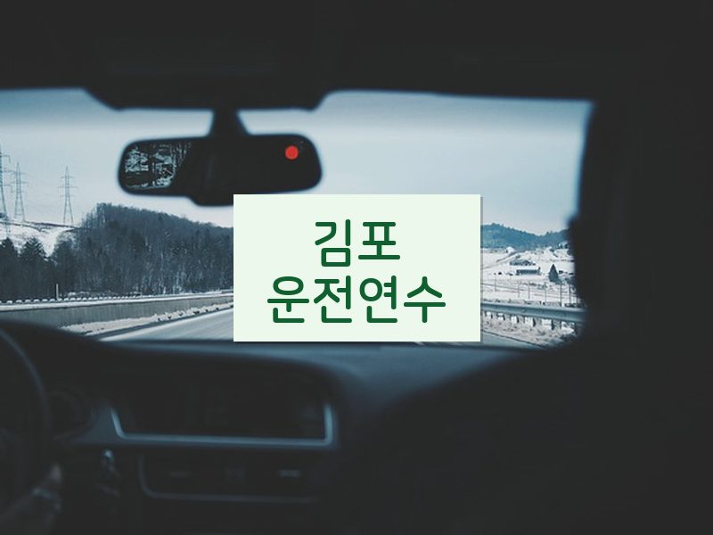 김포운전연수 후기