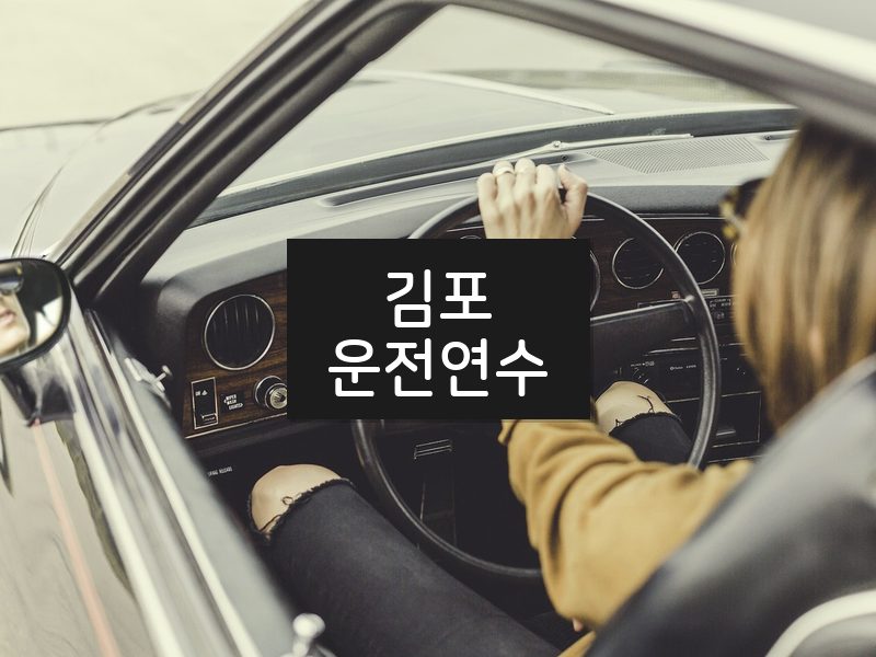 김포운전연수 후기