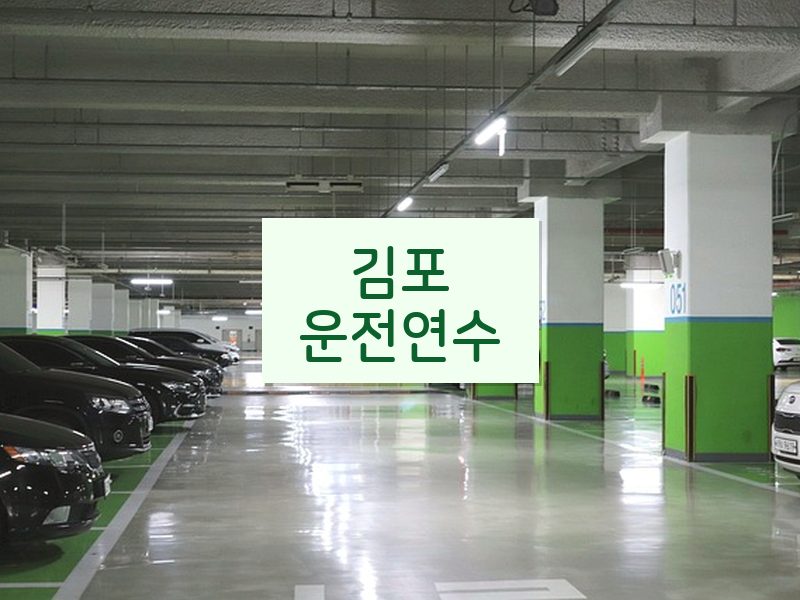 김포운전연수 후기