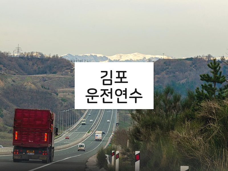 김포운전연수 후기